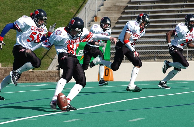 追求卓越的 追求卓越的