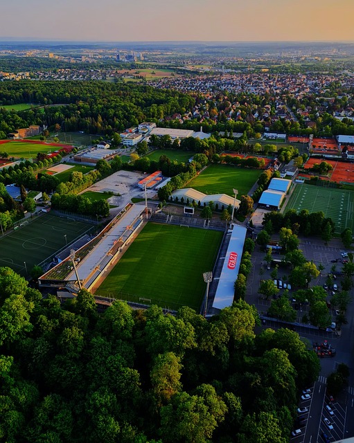 制的创新上 制的创新上