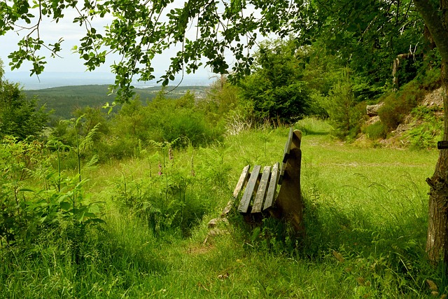 到他在技术 到他在技术