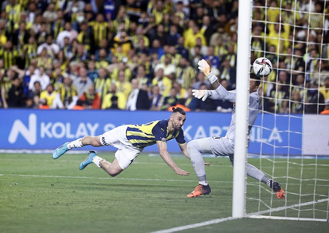 又一位真正 又一位真正